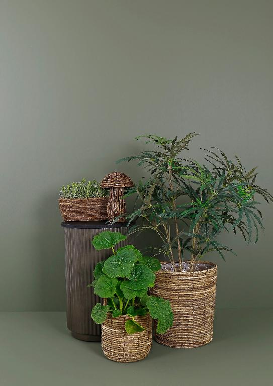 Gabon kurvpotter – til potte tre