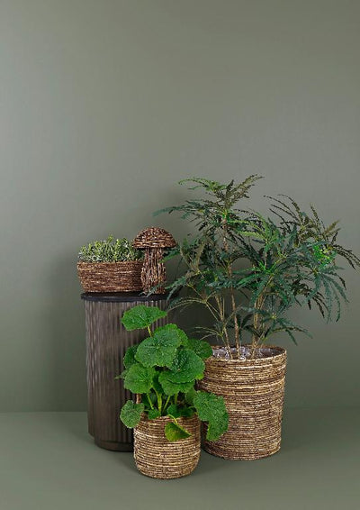 Gabon kurvpotter – til potte tre